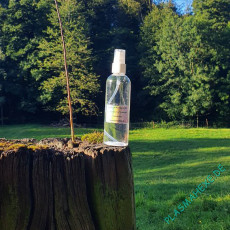 Natürliches Plasma Deo Spray 100ml