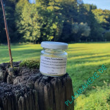 Plasma Antiaging Nachtcreme