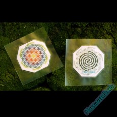 Healing Pad Ying-Yang Spiral